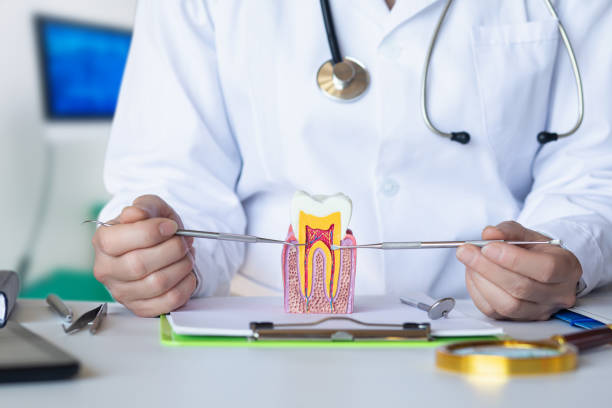 Best Walk-In Emergency Dentist in Bamberg, SC